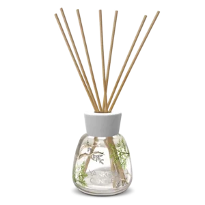 Bayside Cedar Bayside Cedar 100ml