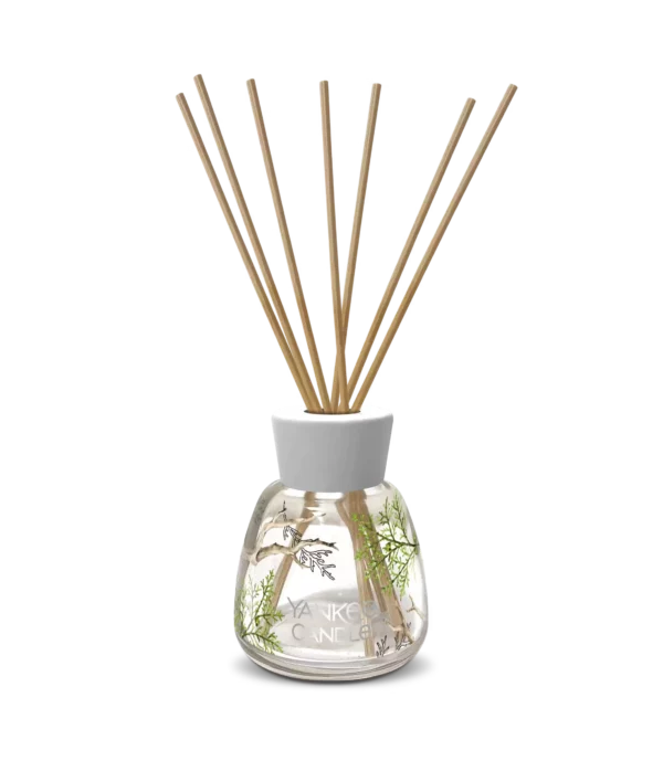 Bayside Cedar Bayside Cedar 100ml