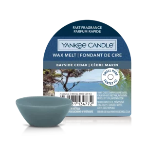 Bayside Cedar Cera da Fondere Yankee Candle gr22