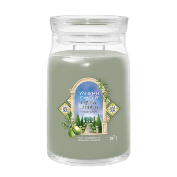 Olive & Cipress Yankee Candle gr 567